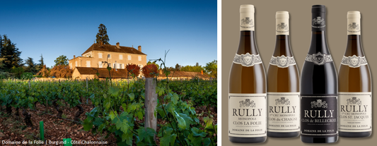 Rully-Palette von Domaine de la Folie