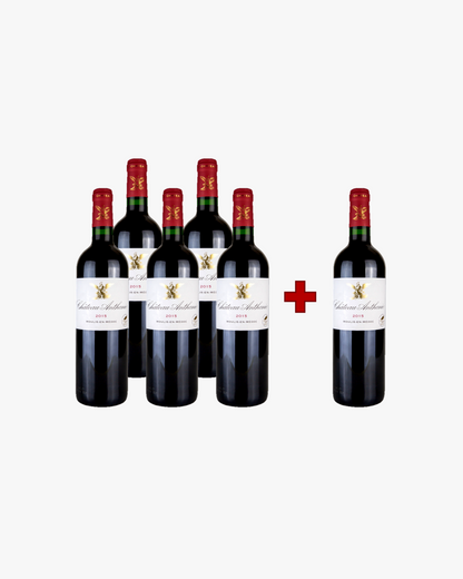 AKTION 5+1: 6x Château Anthonic Cru Bourgeois 2020 | Magnum